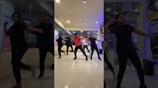 Chal chaiya chaiya  Dance Cover  srk zumba dance bollywood [upl. by Coop749]