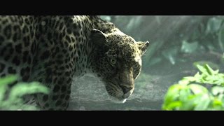 The Legend of Tarzan  Rivela la tua natura  Featurette dal film  HD [upl. by Wayland]