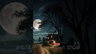 Ninda Noyana Handawe  Iraj amp Ranidu [upl. by Dee632]