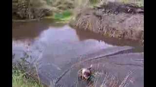 Bog Snorkeling Championships 2013 Monaghan [upl. by Nevur]