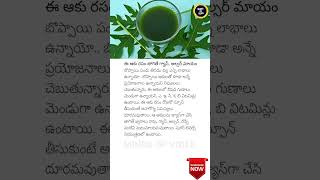 Papaya Leaf Juice Health Benefits Revealed 🍃 PapayaLeaf NaturalRemedies [upl. by Bouley852]