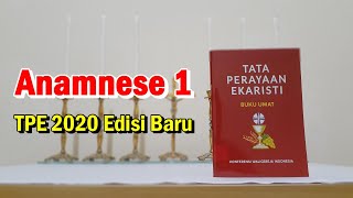 Lagu Anamnese 1 TPE 2020 Edisi Baru [upl. by Renwick]