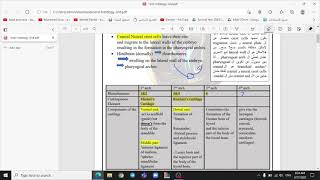 Oral Histology  Development of orofacial region  Salah Alqudah  Part 1 [upl. by Aruam]