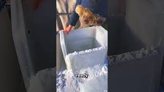 Functional Igloo Cooler 😱 satisfying shorts diy [upl. by Atnaloj]