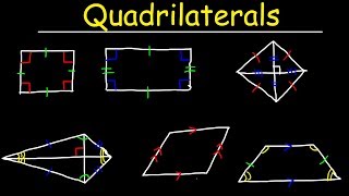 Quadrilaterals  Geometry [upl. by Arytal354]