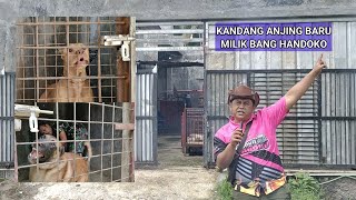 GREBEK KANDANG ANJING YANG BARU MILIK BANG HANDOKO [upl. by Atekehs]