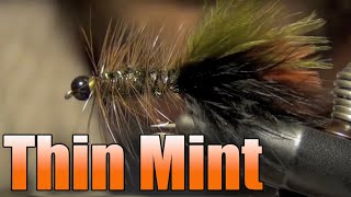 Thin Mint  Best Streamer For Stillwater Lakes  Woolly Bugger Fly Tying  Bob Gaviglio Pattern [upl. by Haroun]