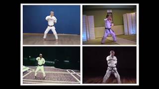 Naihanchi kata  Wado Ryu Masters [upl. by Lonier]