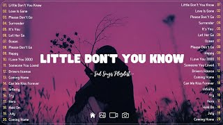 Little Dont You Know💔 Sad songs playlist with lyrics  Depressing Songs 2023 That Will Cry Vol 169 [upl. by Giavani674]