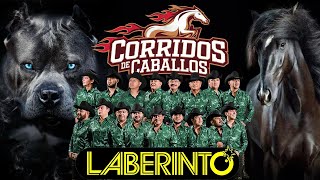 Grupo Laberinto 🏇 Corridos Chingones ✷ Puras Perronas💥 Grupo Laberinto Corridos de Caballos Famosos [upl. by Atiruam]