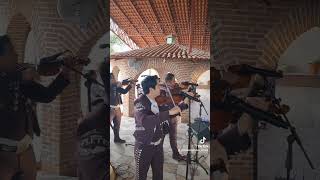 Saludos desde Juchitlan Jalisco cocula musica coculajalisco mariachi mariachifletes [upl. by Hance836]