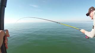 Pesca a bolognese al pontile con mare calmocefali a galla stress test [upl. by Allez397]