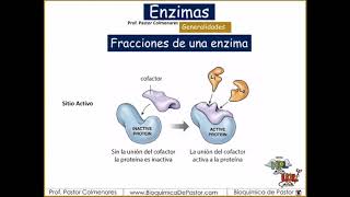 Enzimas generalidades  Enzimas parte I [upl. by Jabez344]