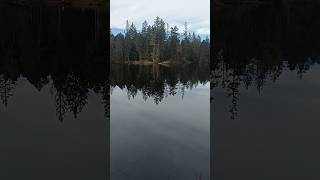 Etang de la Gruère  Switzerland 🇨🇭💯♥️ epic nature lake switzerland autumn [upl. by Liman15]