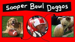 Doggos do the Sooper Bowl [upl. by Euqimod]