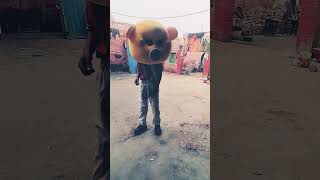 funny crazybunny monkey comedy prank animals mrcrazy funnyshorts monkeycomedy [upl. by Lenette21]