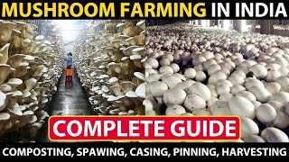 MUSHROOM FARMING  MUSHROOM CULTIVATION in India  Composting Spawning Casing Pinning Harvesting [upl. by Oakie230]