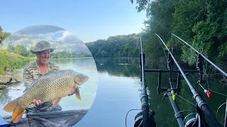 Carping adventure River Saone 🎣🇫🇷 [upl. by Ahsilem]