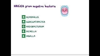 Endocardite infectieuse [upl. by Gardol]