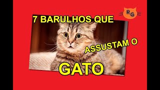 7 Barulhos que Assustam o Gato [upl. by Mayda]