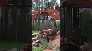 Woodmizer Flipping a Log No Hands woodmizer sawmill woodworkingtools [upl. by Rudwik]