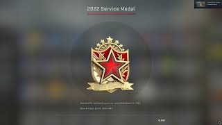 Red 2022 Service medal Tier 6  CSGO [upl. by Gehlbach961]