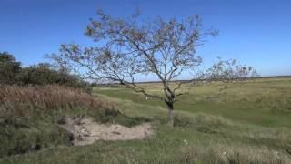 Schiermonnikoog [upl. by Monti]