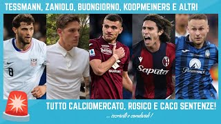 🚨 ROSICO SFOGO e CACO CALCIOMERCATO TESSMANN ZANIOLO BUONGIORNO OKOLI KOOPMEINERS CALAFIORI [upl. by Behl816]