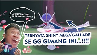 🔥🔥🔥REVIEW SHINY MEGA GALLADE COUNTER ATK UNLIMITEEDDD EDANNN‼️ Private Server v9 Pocket Incoming [upl. by Tara520]