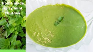 Home made mint chutney  Mint saus  by Madani kitchen  گھرکے پودينےکی مزيدار چٹنی [upl. by Zebadiah]