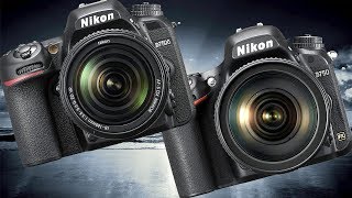 Nikon D750 vs Nikon D7500 High ISO Performance [upl. by Daugherty]