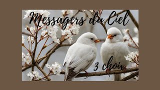 🪽Messagers du Ciel 📩 Guidance 3 choix🕊️timing cidessous [upl. by Holton419]