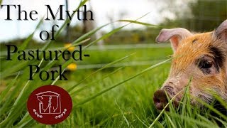 The Myth of PasturedPork [upl. by Favrot]