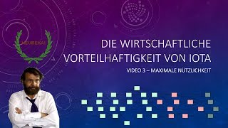 Die wirtschaftliche Vorteilhaftigkeit von IOTA  Maximale Nützlichkeit 33  Wohlfahrtstheorie [upl. by Annadiane482]