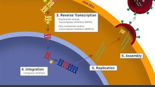 Overview of Classifications of Antiretroviral drugs  Reverse transcriptase inhibitors [upl. by Azalea]