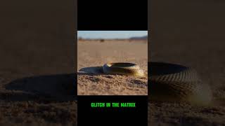 Glitch in Matrix Stealthy Snake Moves Like a Digital Phantom [upl. by Tatman]