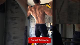 Dorsal Trincada gym viral fyp musculacao musculação gymoldschool [upl. by Jamille]