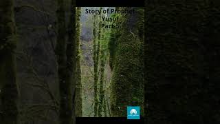 Prophet Yusufs Triumph Story of Prophet Yusuf Part 5 [upl. by Lednahs]