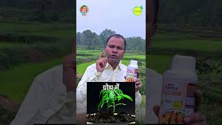 Nano Calcium Calcium Ki Kami Door Kare Fasal Ko Banaye Strong  TCBT Kheti nanofertilizer [upl. by Akiehsat]