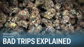 Dr Sanjay Gupta Heres Why People Get Bad Marijuana Trips [upl. by Curran]