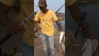 Wallago fishing Big size catch on spoon  fishing  short  like subscribe [upl. by Nowyt1]