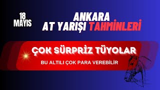 18 Mayıs 2024 Cumartesi Ankara At Yarışı Tahminleri [upl. by Telfore]