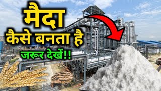 फैक्ट्री में मैदा कैसे बनता हैं  How maida is made   by VitalGyan [upl. by Kachine116]