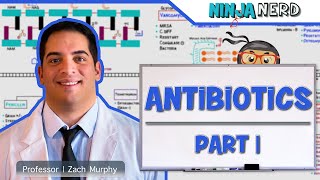 Antibiotics Cell Wall Synthesis Inhibitors Part 1 [upl. by Dorcus]