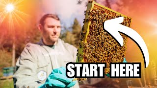 How To Start Beekeeping [upl. by Ynneb]