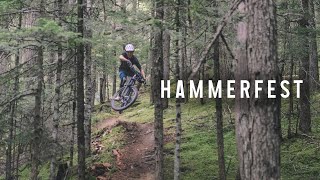 Hammerfest Trails  Vancouver Island Mountain Biking [upl. by Ntsyrk930]