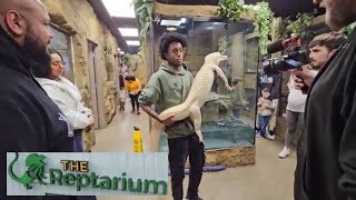 Best Place to Visit in Michigan  Behind the Scenes at the Brian Barczyk Reptarium [upl. by Chaiken60]