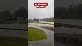 Das Wasser steigt immer weiter Extremes Hochwasser an der Donau in Österreich hochwasser rain [upl. by Lammaj]