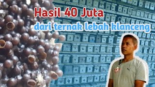 TERNAK KLANCENG PEMULA HASIL PULUHAN JUTA [upl. by Nitnerb]