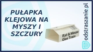 Klejowa pułapka na myszy i szczury STV 183 Jak pozbyć się myszy [upl. by Paulina756]